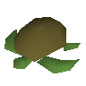 Rohe Schildkröte